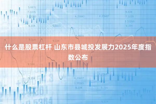 什么是股票杠杆 山东市县城投发展力2025年度指数公布